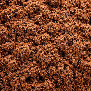 Plagron Cocos Brix 6 St&uuml;ck