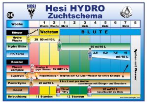 Hesi Hydro Blüte 1 l
