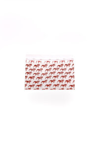 Baggy 50 x 50 mm 50µ 100 Stück Top Dog