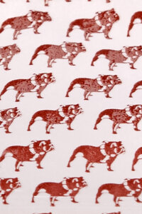 Baggy 50 x 50 mm 50µ 100 Stück Top Dog