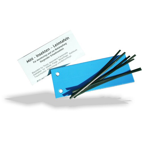 Blautafeln 10 Stück 12 x 5 cm
