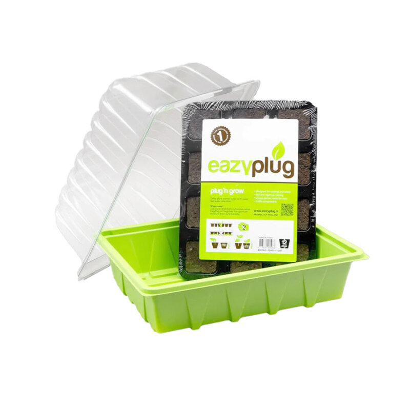 Eazy Plug Set Gewächshaus mit 12 Stück