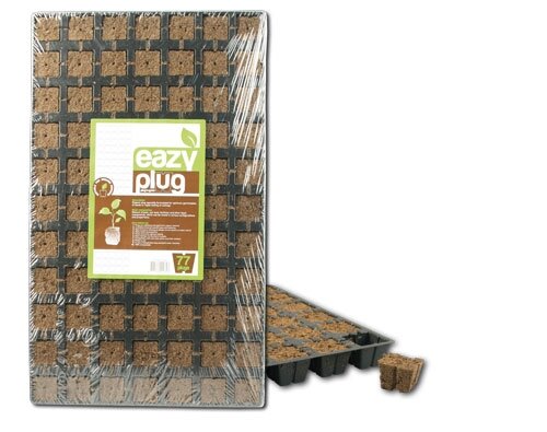 Eazy Plug Stecklingsblöcke Tray mit 77 Stück