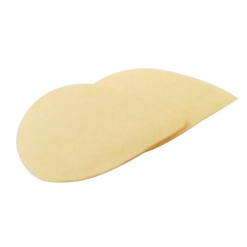 Filter für Queen Bee Extractor 20 Stück