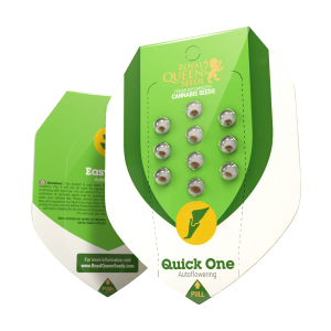 Royal Queen Quick One | Automatik | 3 Samen
