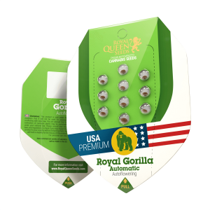 Royal Queen Royal Gorilla | Automatik | 3 Samen
